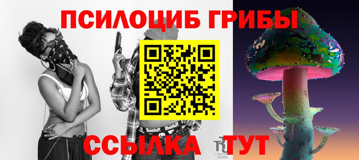 Ленинск-Кузнецкий  Псилоцибиновые грибы MAGIC MUSHROOMS  Вход с VPN 