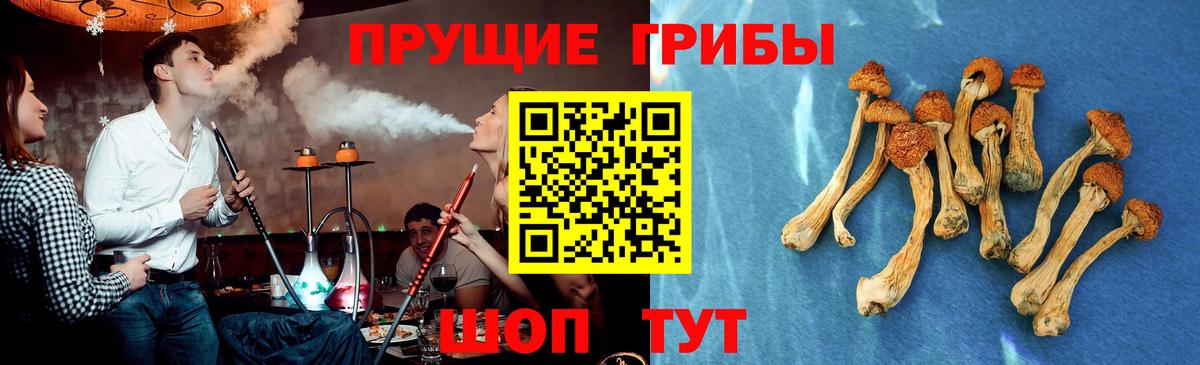 Галлюциногенные грибы Cubensis Ленинск-Кузнецкий